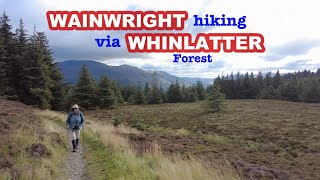 Wainwright Fell hiking from Whinlatter Forest  Best of the Lake District [upl. by Sral684]