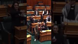 6 MNAs Wonderful Protest Against Bill Parliament Secession New Zealand subscribe shorts ForYou [upl. by Ellatsirhc]