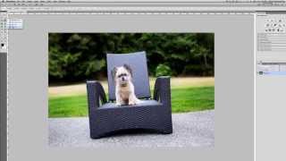 How To Straighten Crooked Photos in Photoshop [upl. by Arahs]