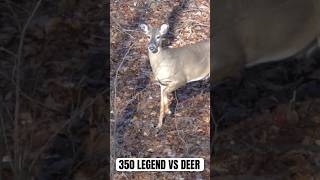 350 Legend vs Deer hunting deerhunting 350legend [upl. by Anirba]