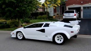 Why and How we Bought the Countach Replica [upl. by Araht909]