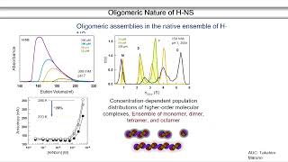 Phase Separated Condensates from Oligomeric Protein Assemblies by Athi N Naganathan [upl. by Sauncho52]