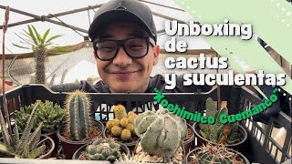 Unboxing de CACTUS y SUCULENTAS  Xochimilco Cuemanco [upl. by Kenison]