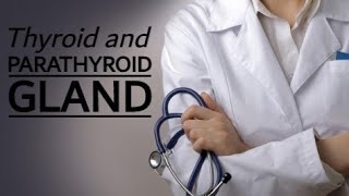 Physiology 707Endocrine3Thyroid amp Parathyroid glandsMedical [upl. by Trueman]