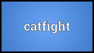 Catfight Meaning [upl. by Aroled199]