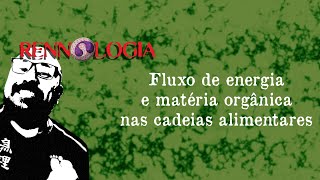 Fluxo de energia e matéria orgânica nas cadeias alimentares [upl. by Pearse750]