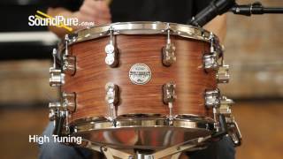 PDP 8x14 Limited Edition Bubinga  Maple Snare Drum Quick n Dirty [upl. by Ecnarrat378]