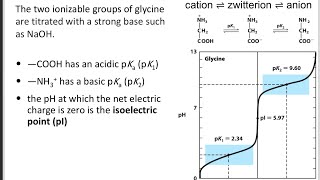 Titration curve of amino acid biochemistry [upl. by Akerdal236]