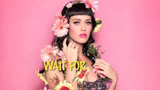 Will You Perry Me with Katy Perry [upl. by Nhepets]