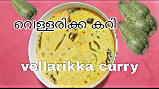 വെള്ളരിക്ക കറി vellarikka curry  Easy recipe kerala style  food AdithyanVlogsl6s [upl. by Nnyllaf680]