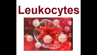 Leukocytes structure and functions  2024 [upl. by Atnahsa]