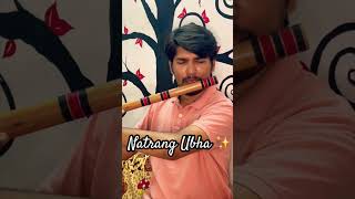 Tapan Bedse  Natrang Ubha  Ajay Atul  Flute Cover  Shorts [upl. by Eidoow102]