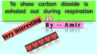 Experiments no 5  to show carbon dioxide is exhaled out during respiration  experiments 🔥🔥🔥 [upl. by Eniloj217]