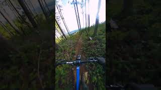 Mind MELTING Trail SO GOOD [upl. by Powell]