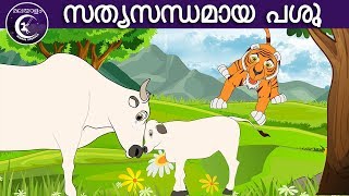 സത്യസന്ധമായ പശു  Malayalam Fairy tales  malayalam moral stories for kids [upl. by Gensmer]