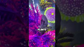 How To Set Up Plants For Your Axolotl lotlsoflove shorts axolotl pets cute animals [upl. by Skylar686]