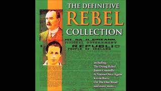 The Definitive Irish Rebel Collection  14 Irish Songs Of Freedom [upl. by Spooner429]