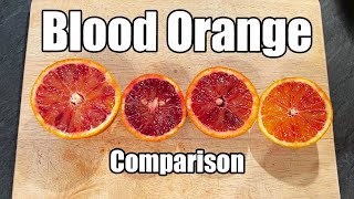 Blood Orange Taste Comparison Sanguinelli Moro Ippolito amp Tarocco Rosso [upl. by Eilrak]