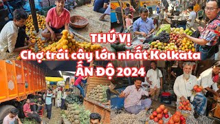 THÚ VỊ Ấn Độ 2024 Đi CHỢ TRÁI CÂY LỚN NHẤT cố đô Kolkata  KHỦNG KHIẾP Trời NÓNG NHƯ THIÊU [upl. by Ybeloc]