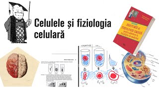 ADMITERE MEDICINA Barron’s Capitolul 3  partea 1 Celulele si fiziologia celulara [upl. by Heyman]