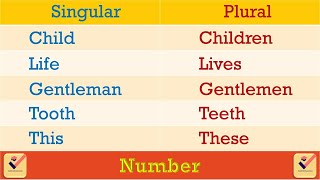 Singular  Plural  215 Important Words  Number  Vocabulary  Nouns  Pronouns  English Grammar [upl. by Okiram]