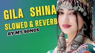 GilaShina slowedReverbSong New Shina Song [upl. by Jeunesse79]