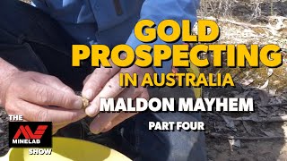 Gold Prospecting in Australia with Minelab Metal Detectors  Maldon Mayhem Part 4 [upl. by Ocirnor]