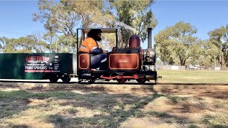 Mr Smee Tinkerbell Class steam locos first run 2023 [upl. by Giselbert]