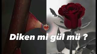 Diken mi gül mü  drill remix 🌹 prodemoo54 [upl. by Marrilee154]