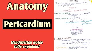 Pericardium  Anatomy  By Namita Ussara [upl. by Enitsrik694]