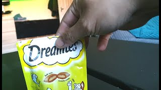 Dreamies advert Test after feeding the cats for a few weeks [upl. by Kcirrek]