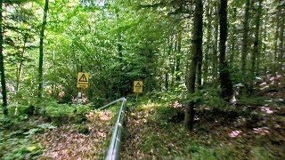 Heimwehfluh Toboggan Run POV 1 Interlaken Switzerland [upl. by Esilegna441]