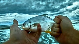 Myrtle Beach Surf FishingCatching Whiting and Pompano [upl. by Kensell806]