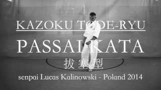 PASSAI KATA  KAZOKU TODERYU  RYUKYU KEMPO KARATE [upl. by Needan]