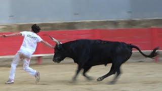 VALLABREGUESLigueCourse Camarguaise05062024 [upl. by Asare]