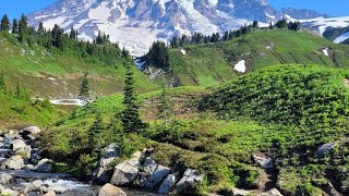 Paradise Mt Rainier [upl. by Cheston399]