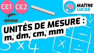 Unités de mesure  m dm cm mm CE1  CE2  Cycle 2  Mathématiques  Grandeurs et mesures [upl. by Enaile]