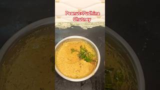 Tasty Peanut Pudhina chutney recipe [upl. by Annaet]