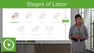 Stages of Labor Stages 1 2 amp 3 of Normal Labor – Obstetrics  Lecturio [upl. by Eillom]