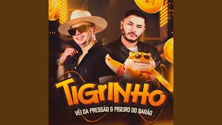 Tigrinho [upl. by Apeed661]