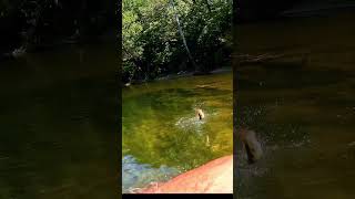 Fishing Shenandoah River [upl. by Selmner]