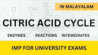 CITRIC ACID CYCLE detailed explanation in Malayalam  Learn In [upl. by Sheff864]