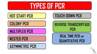 PCR and its types  Variants of PCR  Polymerase Chain Reaction [upl. by Leiruh]