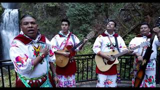 Huichol Musical  Mañana Que Ya No Estes Video Oficial [upl. by Ylla]