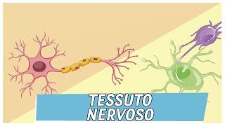 Tessuto Nervoso  Pillole di Scienza [upl. by Meredithe485]