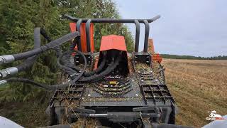 SATISFYING Skid Steer Disc Mulcher Annihilation [upl. by Viviyan]