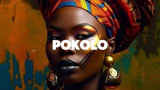 Dadju x Tayc type beat quotPOKOLOquot  Afro Guitar x Afro Beat type beat 2024 [upl. by Ahseram]