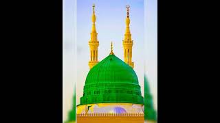 Mary aqua ko dakho gay madina pic good pic [upl. by Akinyt]