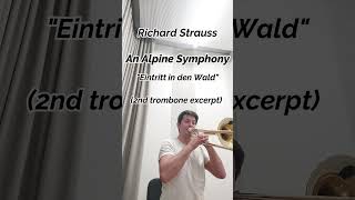 Strauss An Alpine Symphony 2nd trombone excerpt shorts [upl. by Nottus379]