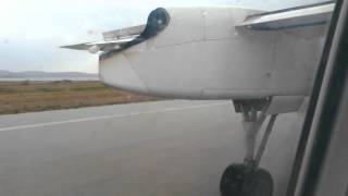 Aborted takeoff due to bird strike [upl. by Care]